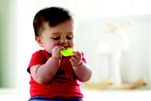 Munchkin Chewy Teether - Difrax