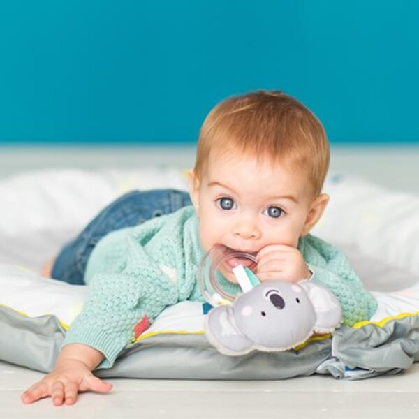 Taf Toys kõristi koaala Kimmy - Taf Toys