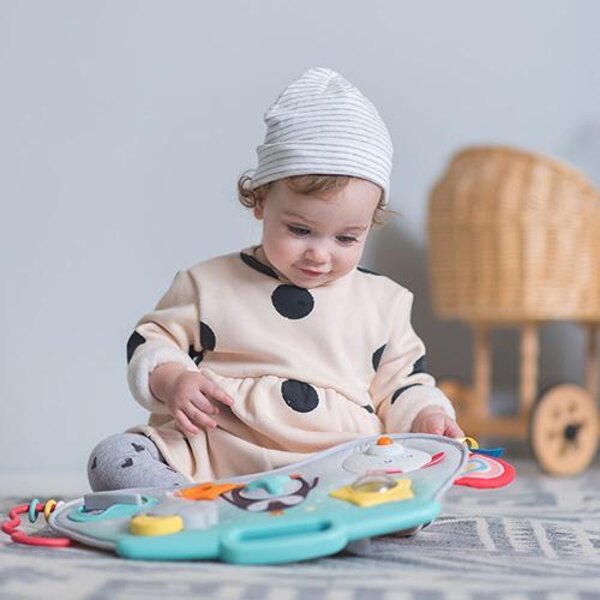 Taf Toys aktiivsuskeskus heli ja valgusega - Taf Toys