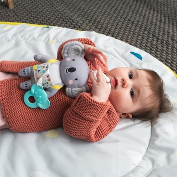 Taf Toys Pakabinamas braškutis su kramtuku
„Kimmy the Koala“ - Taf Toys