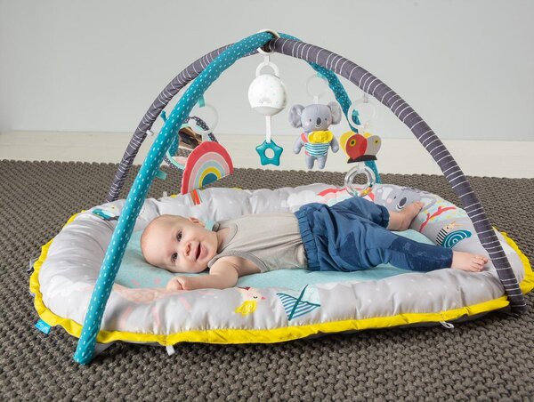 Taf Toys Koala musical newborn cosy gym - Taf Toys