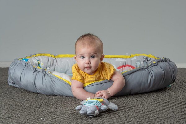 Taf Toys Koala musical newborn cosy gym - Taf Toys