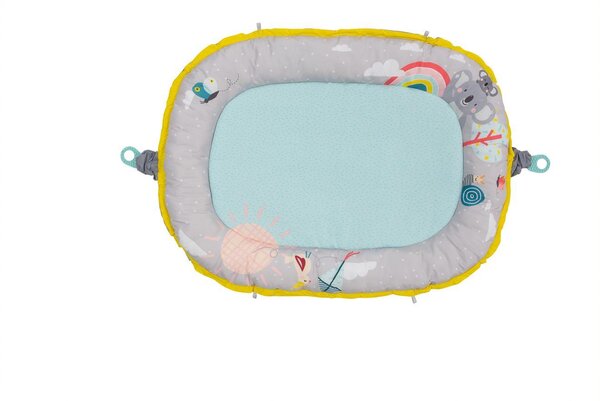 Taf Toys Koala musical newborn cosy gym - Taf Toys