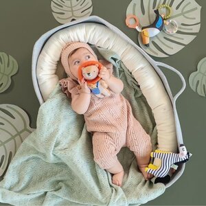 Taf Toys educational toy Harry the Lion - Taf Toys
