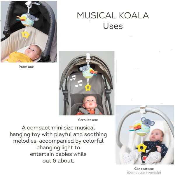 Taf Toys muzikālā rotaļlieta Koala - Taf Toys