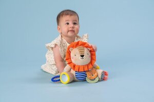 Taf Toys Harry Lion activity doll - Taf Toys