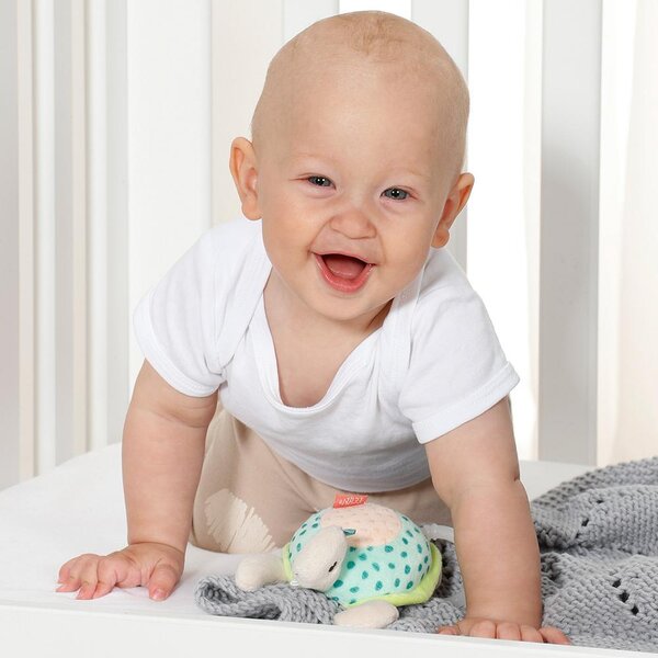 Fehn mini musical Turtle - Fehn