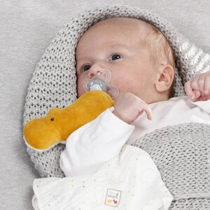 Fehn 064285 Babys erster Spiegel Australia grau