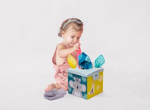 Taf Toys Kimmy Koala Wonder tissue box - Taf Toys