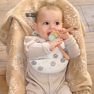 Nordbaby silikoonist põll 2tk, Beige/Yellow hedgehog  - Nordbaby