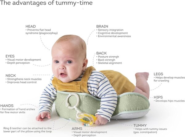 Taf Toys развивающая подушка Savannah - Taf Toys