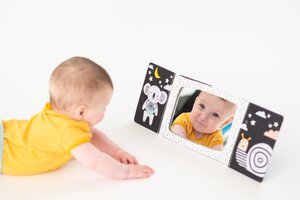Taf Toys Tummy-time mirror Book - Taf Toys