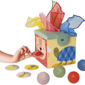 Taf Toys attīstošā rotaļlieta Magic box - Taf Toys