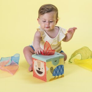 Taf Toys lavinamasis žaislas Magic box - Taf Toys