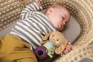 Taf Toys развивающая игрушка Jenny the Bunny - Taf Toys