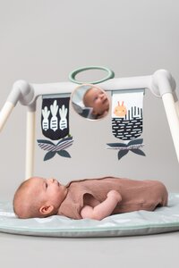 Taf Toys foldable gym Urban Garden - Taf Toys