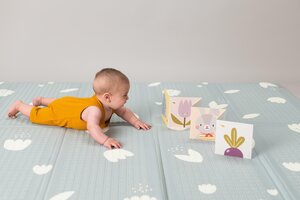 Taf Toys foam mat Urban Garden - Taf Toys