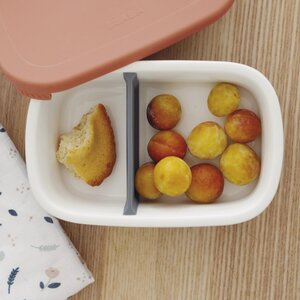 Beaba ceramic lunch box  - Beaba