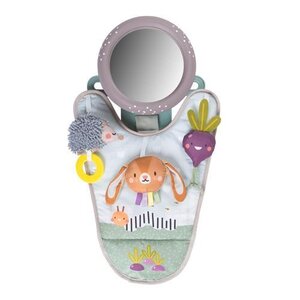 Taf Toys Urban Garden In car activity center - Taf Toys