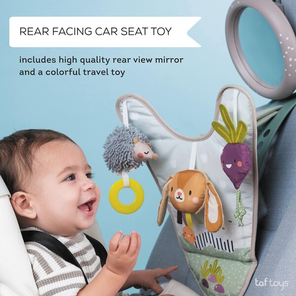 Taf Toys Urban Garden In car activity center - Taf Toys