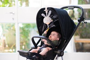 Taf Toys Garden stroller Bunny musical toy - Taf Toys