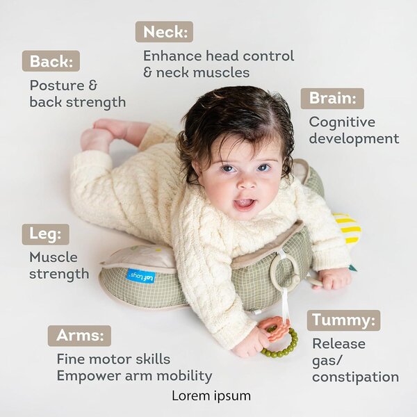 Taf Toys развивающая подушка Panda - Taf Toys