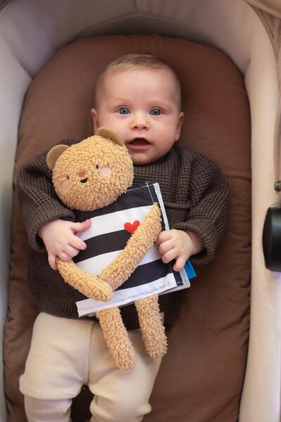 Taf Toys Snuggle Bear Book - Taf Toys