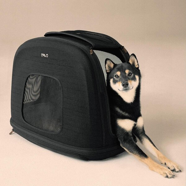 Tavo Pet Protection System Crispin M, Onyx - Tavo