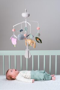 Taf Toys muusikaga voodikarussell Urban Garden - Fehn