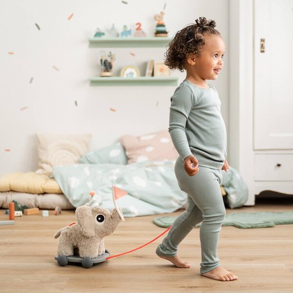 Done by Deer развивающая игрушка Pull along 2-in-1 Elphee Sand - Done by Deer