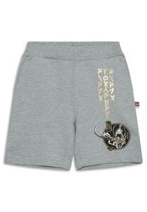 Legowear шорты Lwpino 208 - Legowear