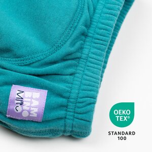 Bambino Mio potty training pants Teal - Tinynord