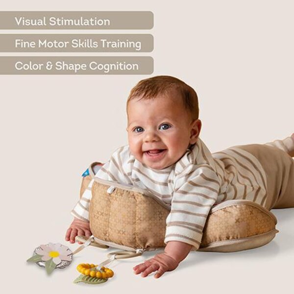 Taf Toys tummy time pillow Bear - Taf Toys
