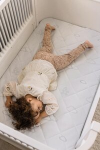 Sebra X Träumeland Mattress, Signature, Baby&Jr. - Sebra